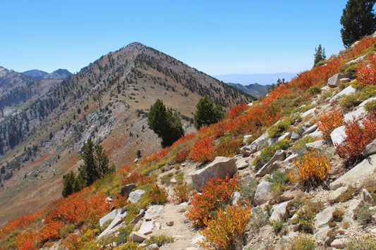 Ruby Crest Thru Hike - Day 2