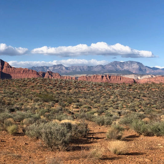 An Expedition to Southern Utah